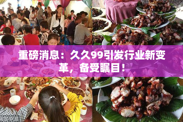 重磅消息：久久99引发行业新变革，备受瞩目！