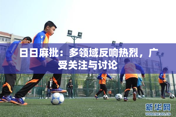 日日麻批：多领域反响热烈，广受关注与讨论