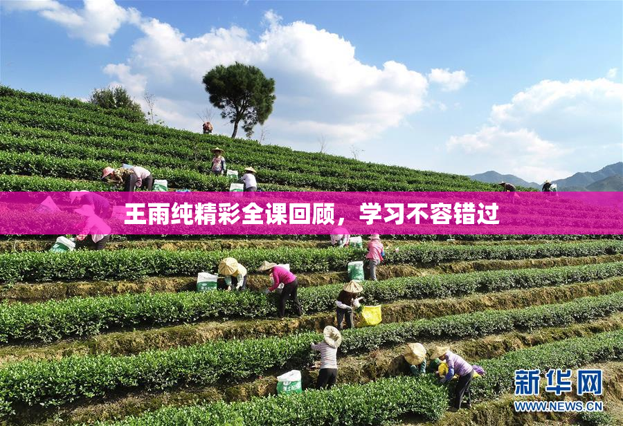 王雨纯精彩全课回顾，学习不容错过