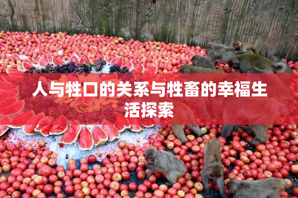 人与牲口的关系与牲畜的幸福生活探索