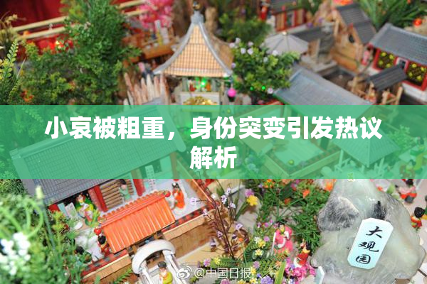 小哀被粗重，身份突变引发热议解析