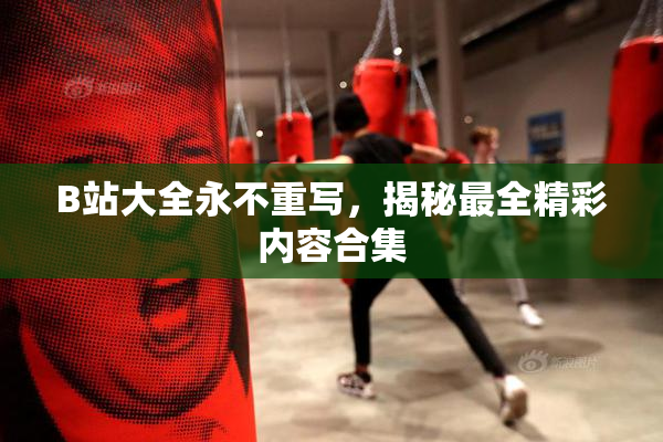 B站大全永不重写，揭秘最全精彩内容合集