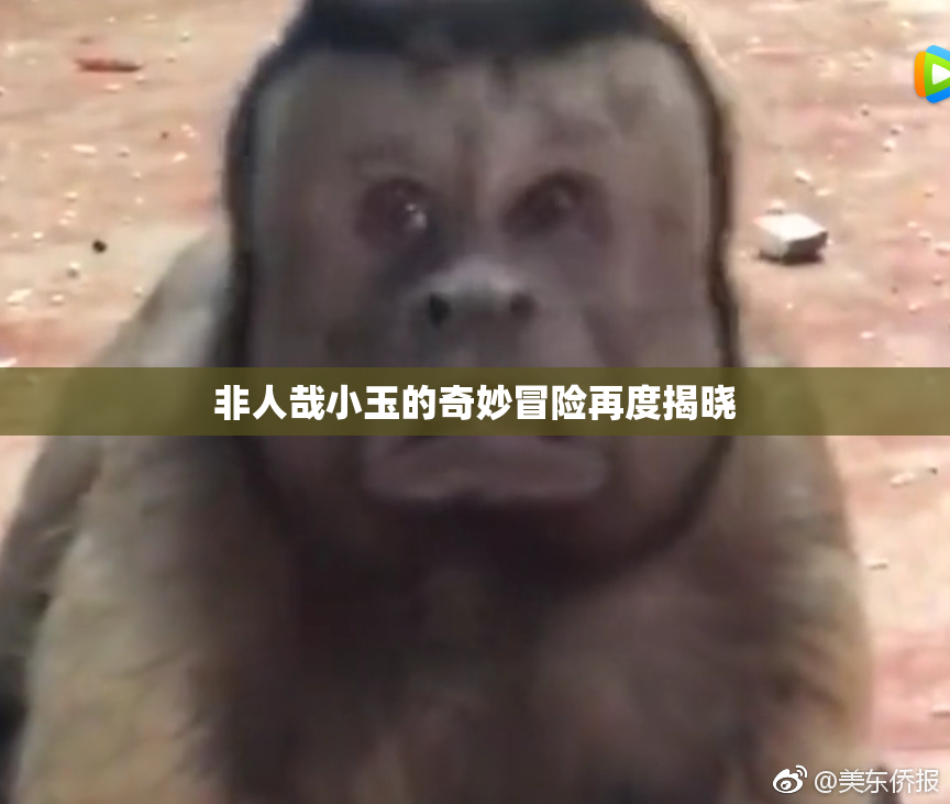 非人哉小玉的奇妙冒险再度揭晓