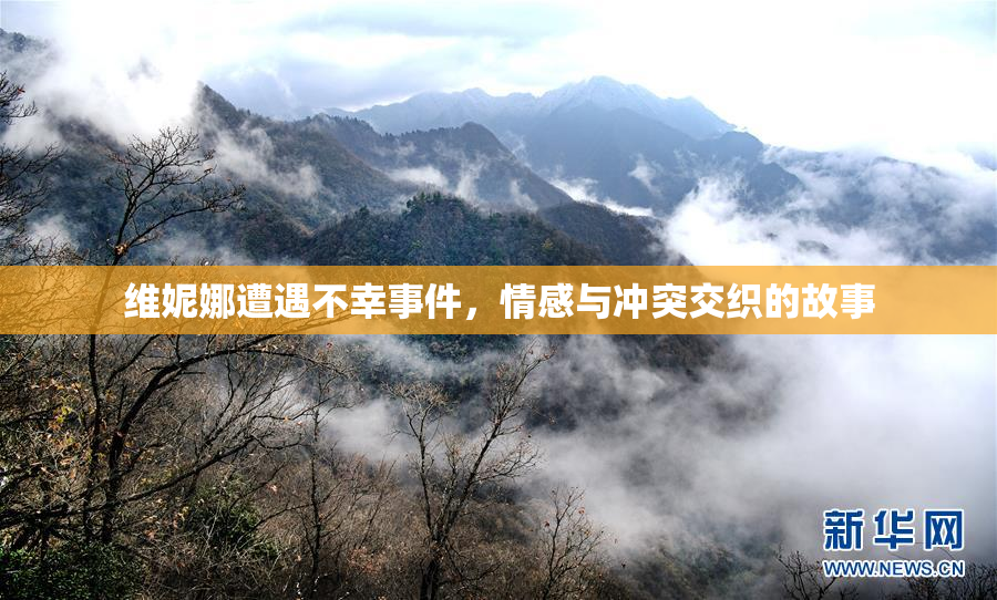维妮娜遭遇不幸事件，情感与冲突交织的故事