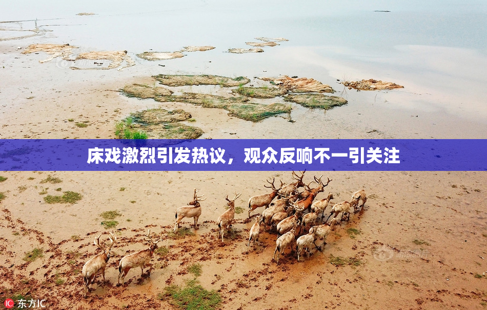 床戏激烈引发热议，观众反响不一引关注
