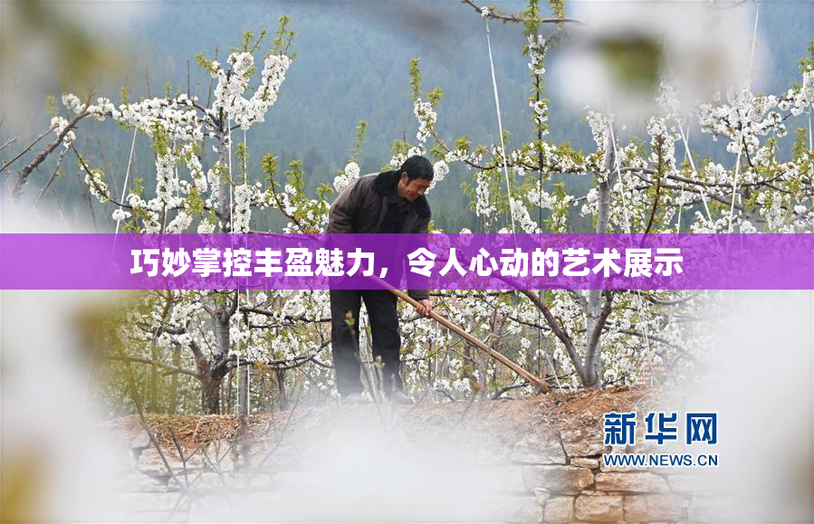 巧妙掌控丰盈魅力，令人心动的艺术展示