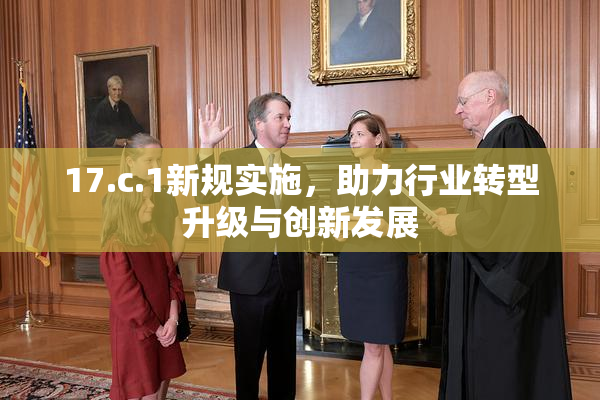 17.c.1新规实施，助力行业转型升级与创新发展