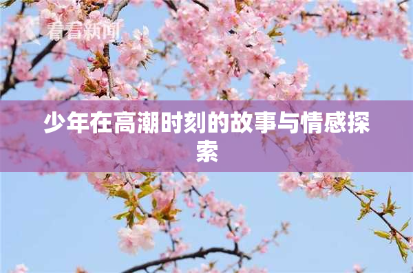 少年在高潮时刻的故事与情感探索