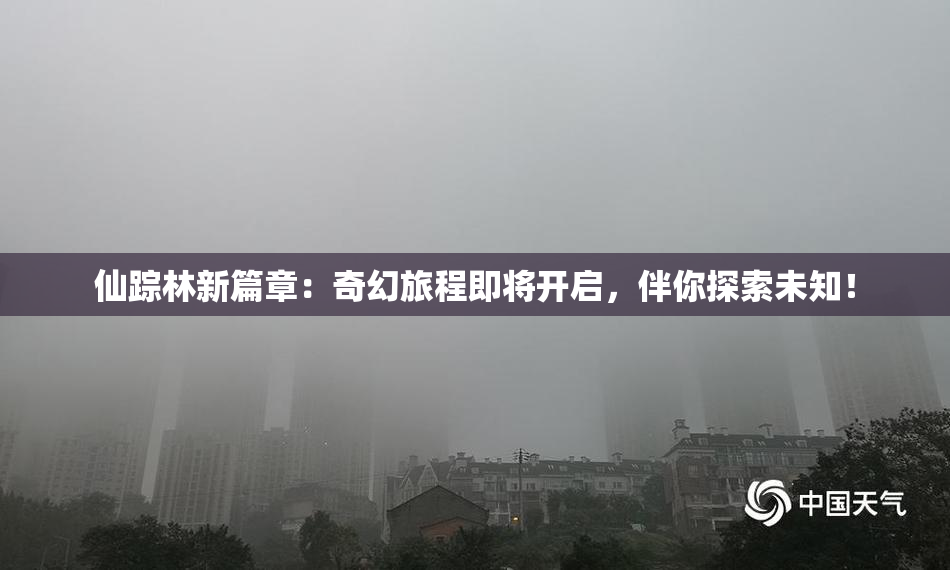 仙踪林新篇章：奇幻旅程即将开启，伴你探索未知！