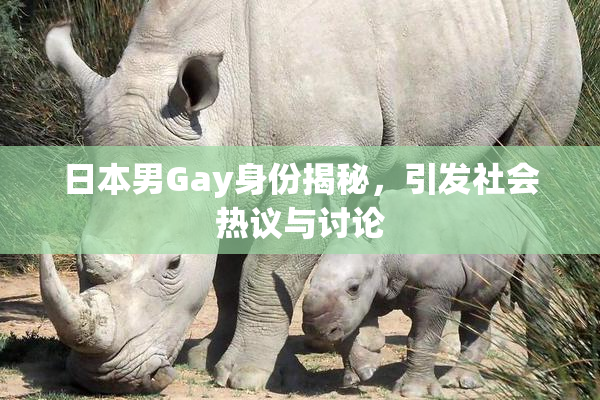 日本男Gay身份揭秘，引发社会热议与讨论
