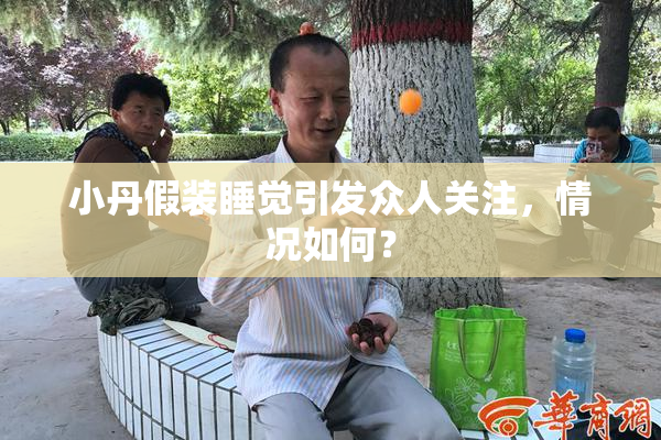 小丹假装睡觉引发众人关注，情况如何？