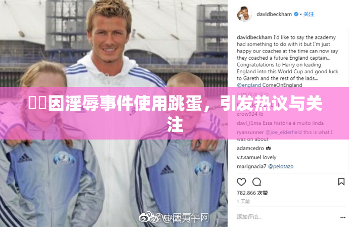 妺妺因淫辱事件使用跳蛋，引发热议与关注