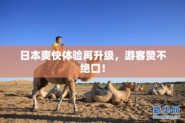 日本爽快体验再升级，游客赞不绝口！
