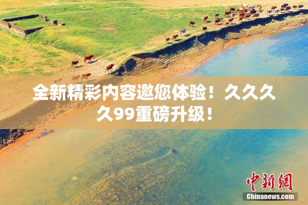 全新精彩内容邀您体验！久久久久99重磅升级！