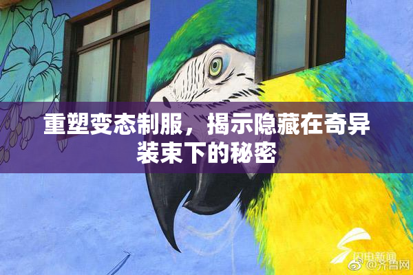 重塑变态制服，揭示隐藏在奇异装束下的秘密