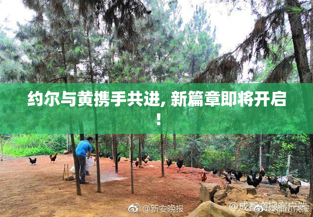 约尔与黄携手共进, 新篇章即将开启！
