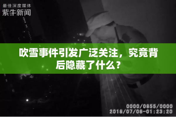 吹雪事件引发广泛关注，究竟背后隐藏了什么？