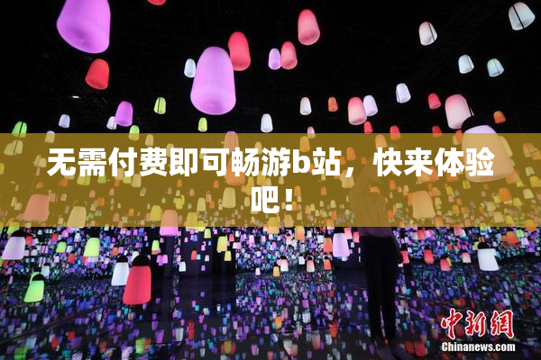 无需付费即可畅游b站，快来体验吧！
