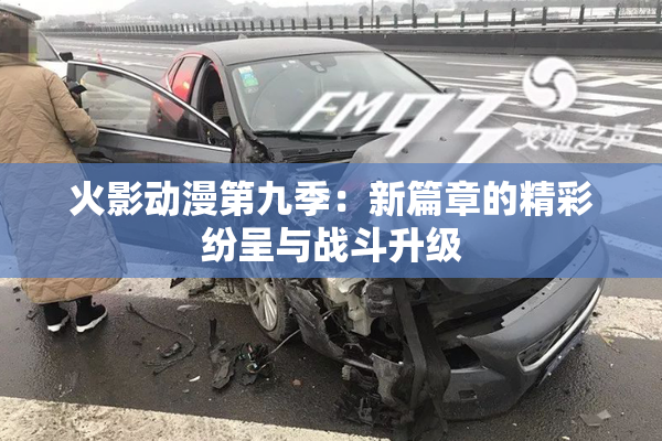 火影动漫第九季：新篇章的精彩纷呈与战斗升级