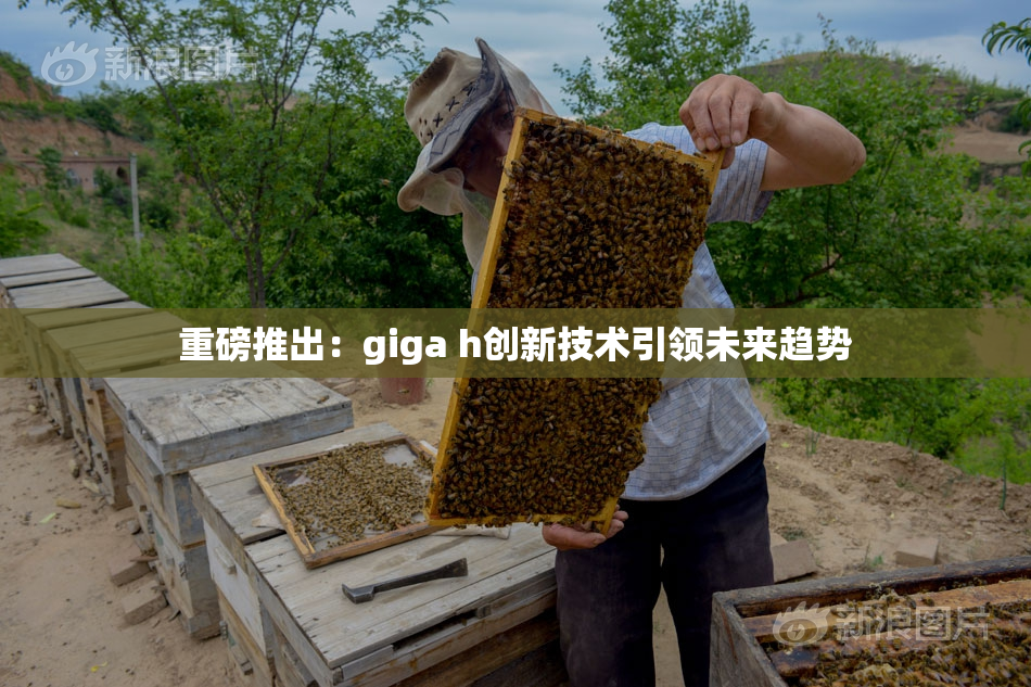 重磅推出：giga h创新技术引领未来趋势