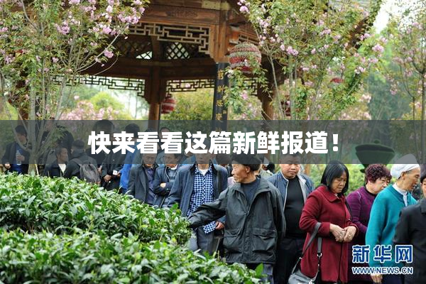 快来看看这篇新鲜报道！
