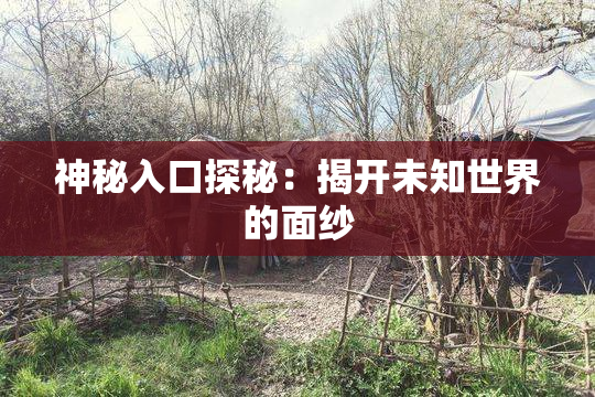 神秘入口探秘：揭开未知世界的面纱