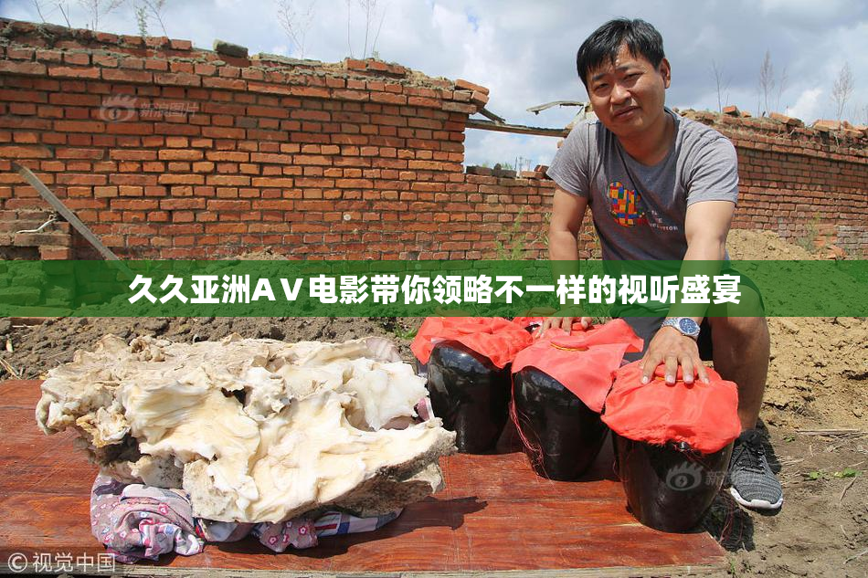 久久亚洲AⅤ电影带你领略不一样的视听盛宴