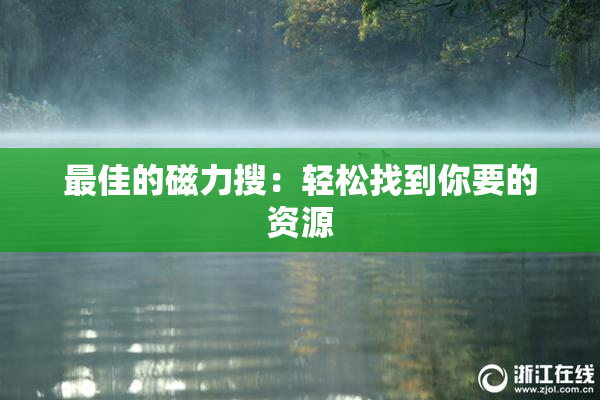 最佳的磁力搜：轻松找到你要的资源