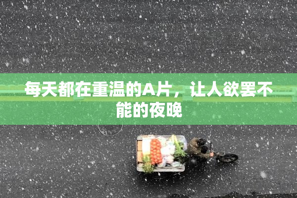 每天都在重温的A片，让人欲罢不能的夜晚