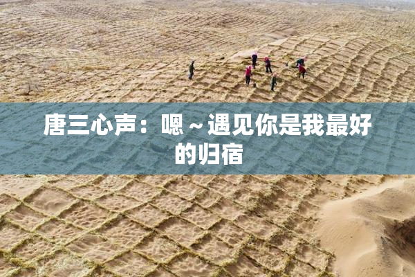 唐三心声：嗯～遇见你是我最好的归宿