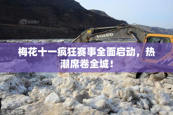 梅花十一疯狂赛事全面启动，热潮席卷全城！