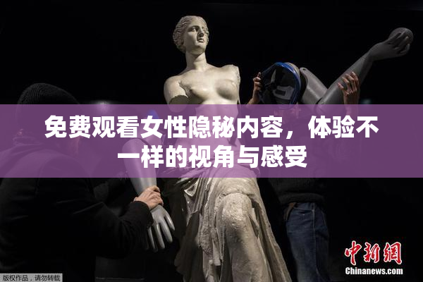 免费观看女性隐秘内容，体验不一样的视角与感受