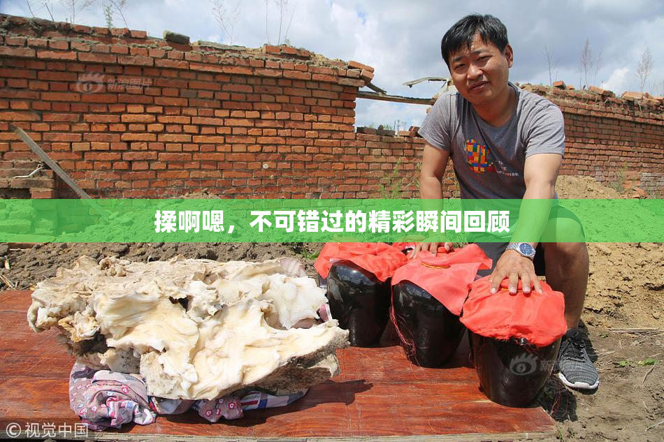 揉啊嗯，不可错过的精彩瞬间回顾