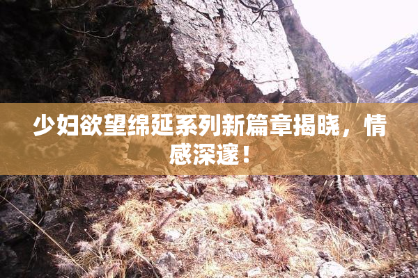 少妇欲望绵延系列新篇章揭晓，情感深邃！