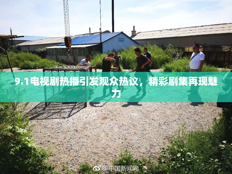 9.1电视剧热播引发观众热议，精彩剧集再现魅力