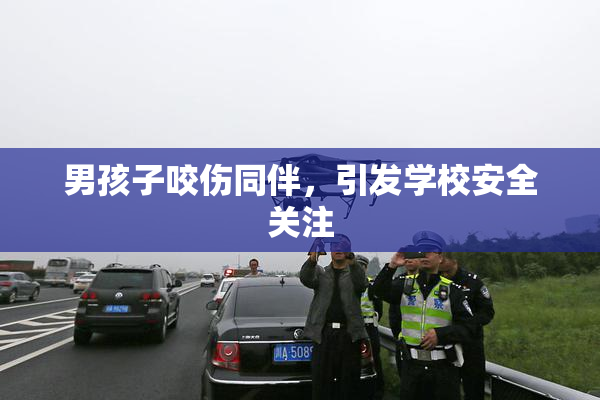 男孩子咬伤同伴，引发学校安全关注