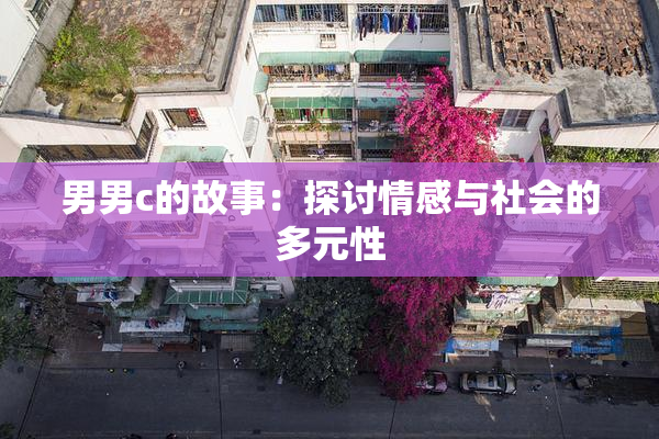 男男c的故事：探讨情感与社会的多元性