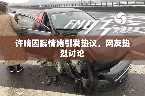许晴因躁情绪引发热议，网友热烈讨论