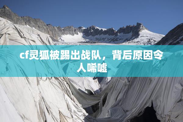 cf灵狐被踢出战队，背后原因令人唏嘘