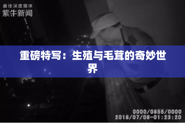 重磅特写：生殖与毛茸的奇妙世界