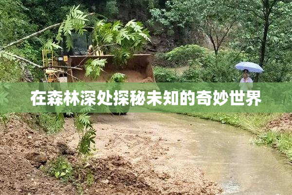 在森林深处探秘未知的奇妙世界