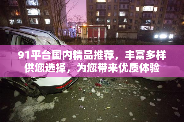 91平台国内精品推荐，丰富多样供您选择，为您带来优质体验