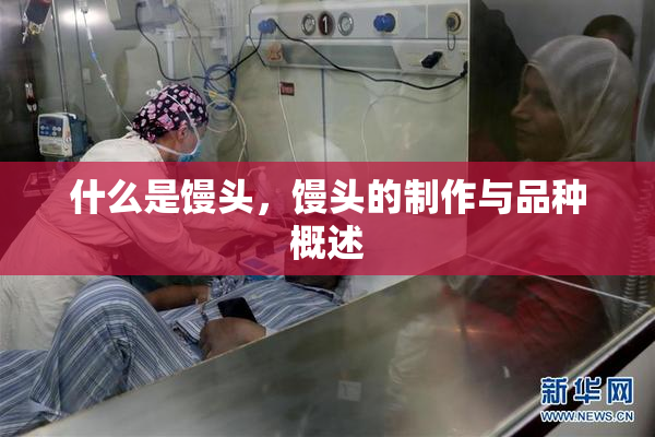 什么是馒头，馒头的制作与品种概述