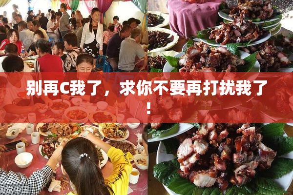 别再C我了，求你不要再打扰我了！