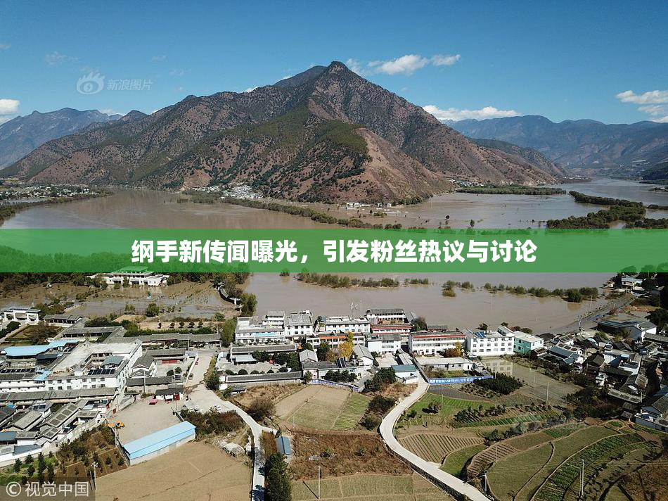 纲手新传闻曝光，引发粉丝热议与讨论
