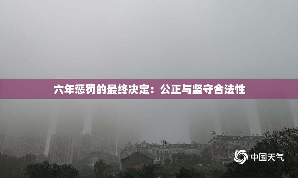 六年惩罚的最终决定：公正与坚守合法性