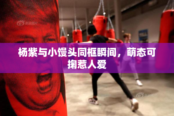杨紫与小馒头同框瞬间，萌态可掬惹人爱