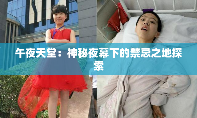 午夜天堂：神秘夜幕下的禁忌之地探索