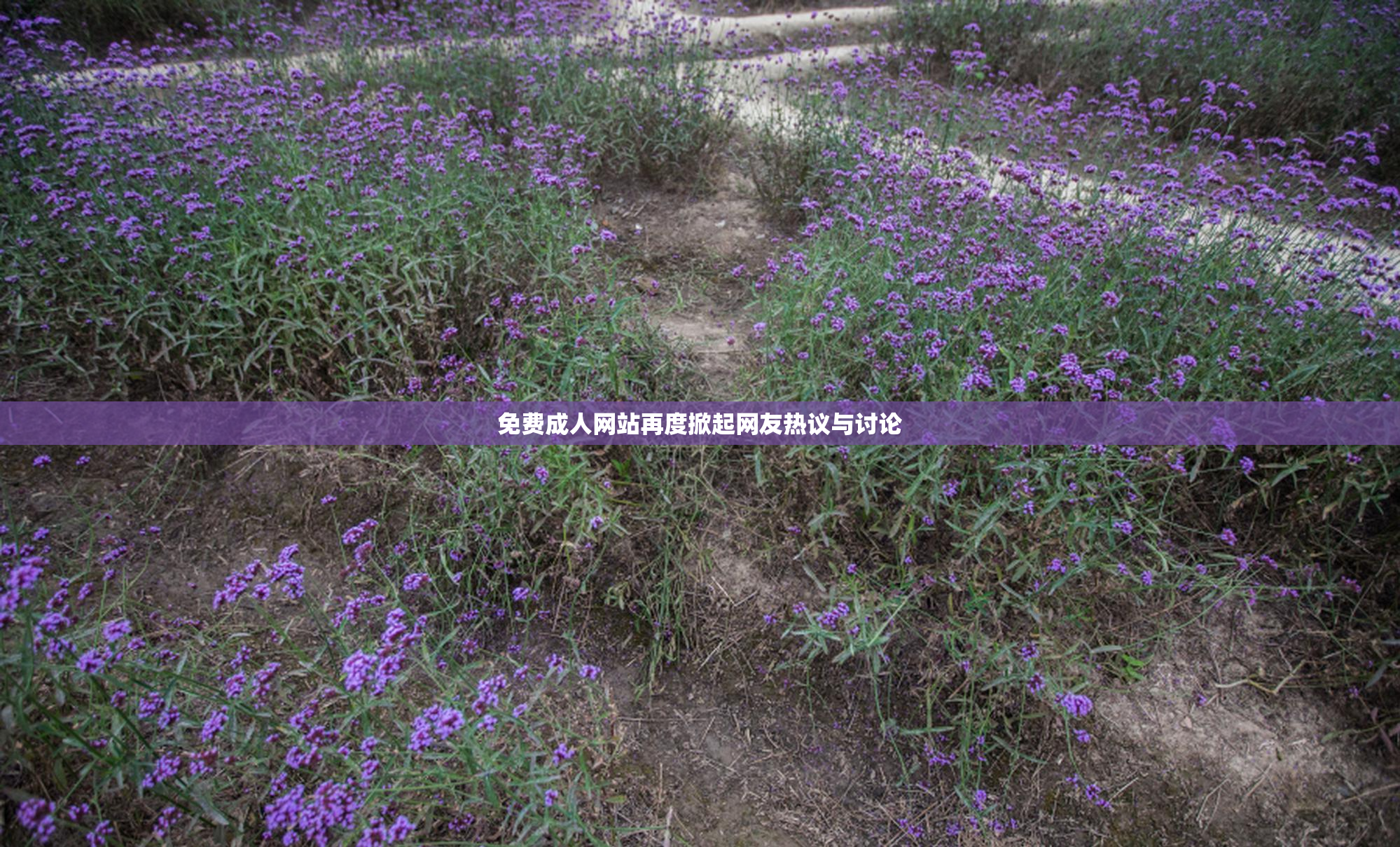 免费成人网站再度掀起网友热议与讨论