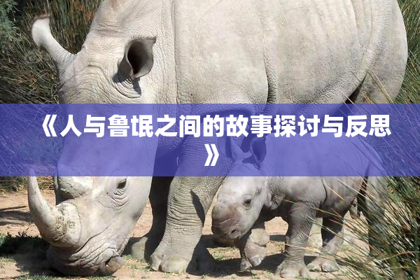 《人与鲁氓之间的故事探讨与反思》